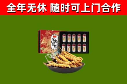 漳浦回收冬虫夏草价格