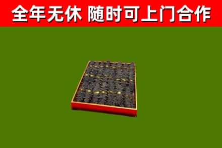 漳浦回收海参